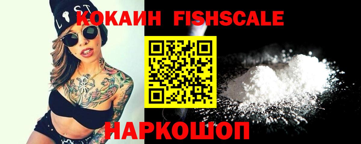 COCAIN FishScale  Кизляр  сколько стоит  COCAIN FishScale 