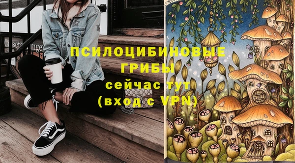 гидропоника Надым