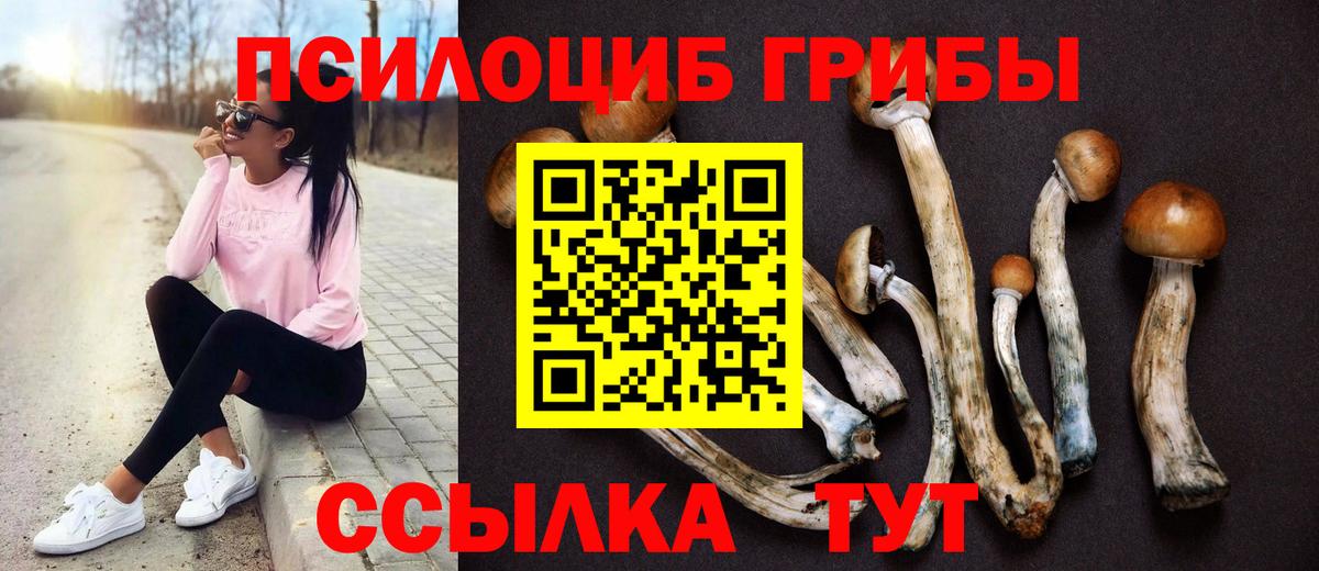 Кизляр  Псилоцибиновые грибы Magic Shrooms  Галлюциногенные грибы Magic Shrooms  Вход с VPN 
