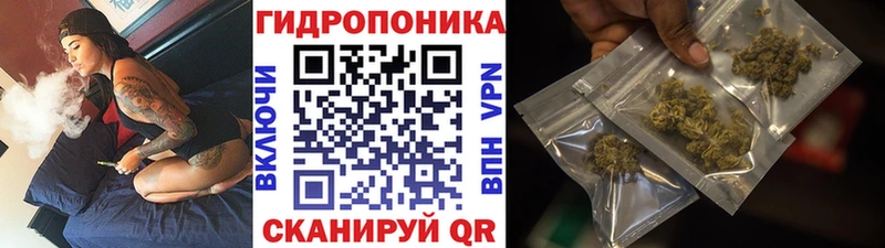 Бошки Шишки планчик  Кизляр 